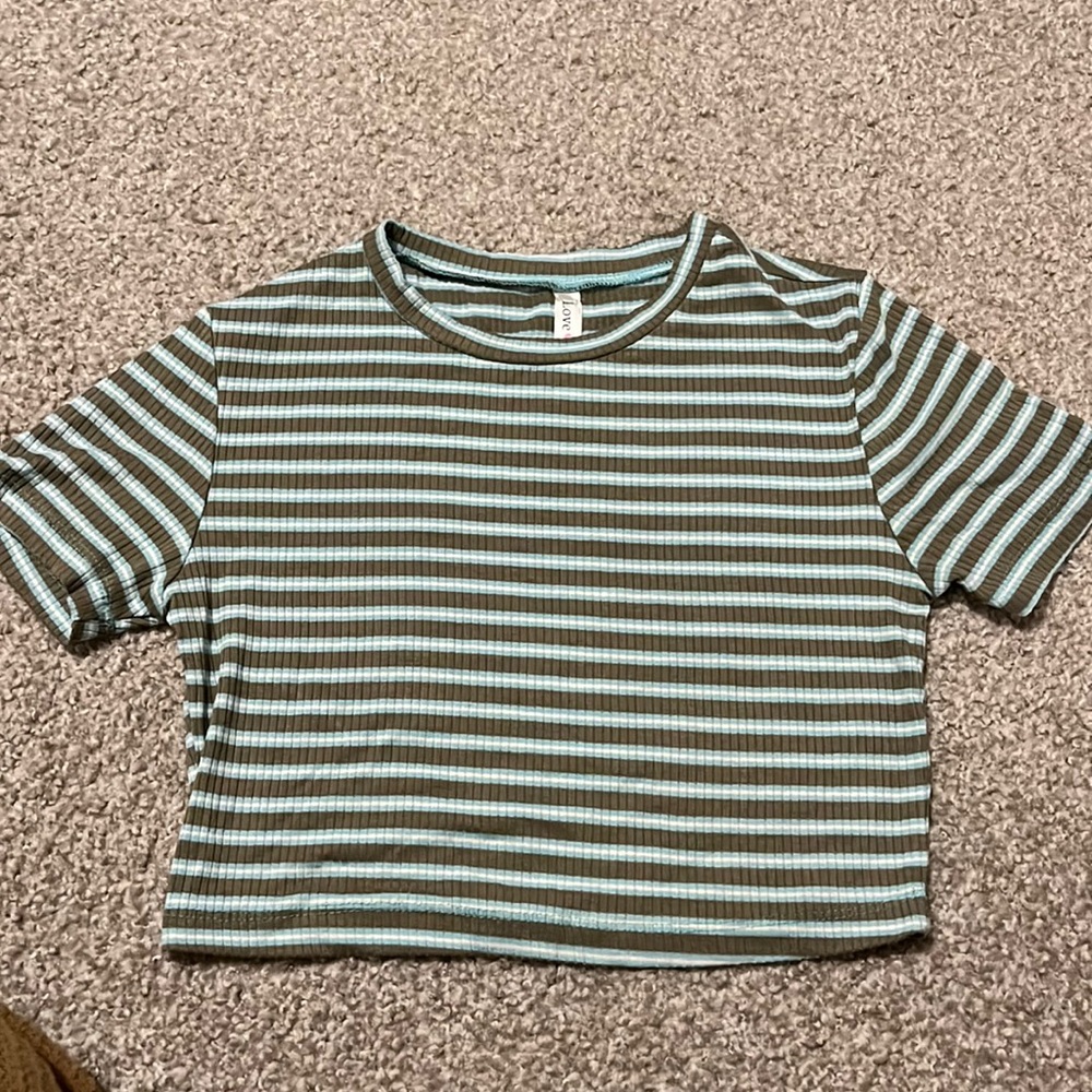 Blue/brown striped crop top